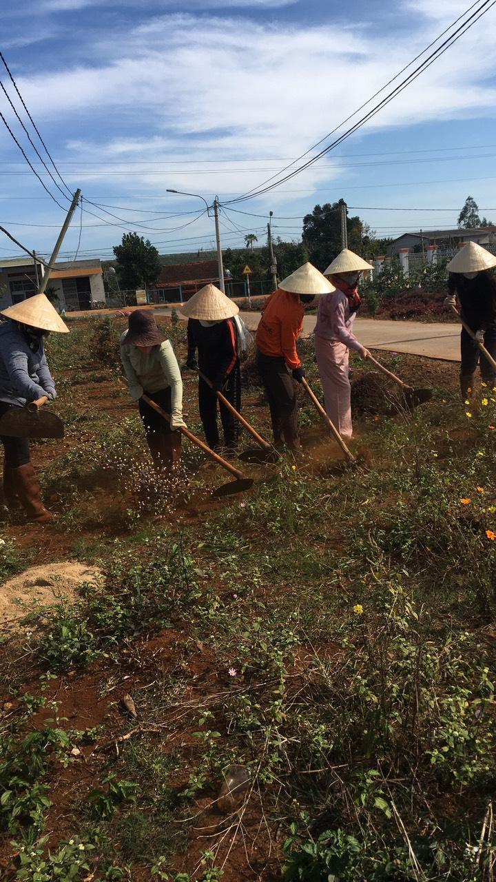 Giáo viên trường Mẩu giáo Phú Lộc dọn cỏ bên đường